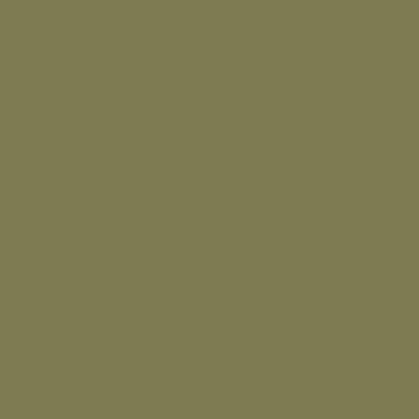 OLIVE GREY